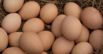 皮蛋长斑蛋散黄蛋这三种鸡蛋要少