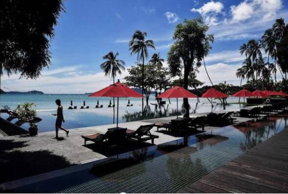 【围观】泰国普吉岛3000家酒店关闭 只见海龟不见游客