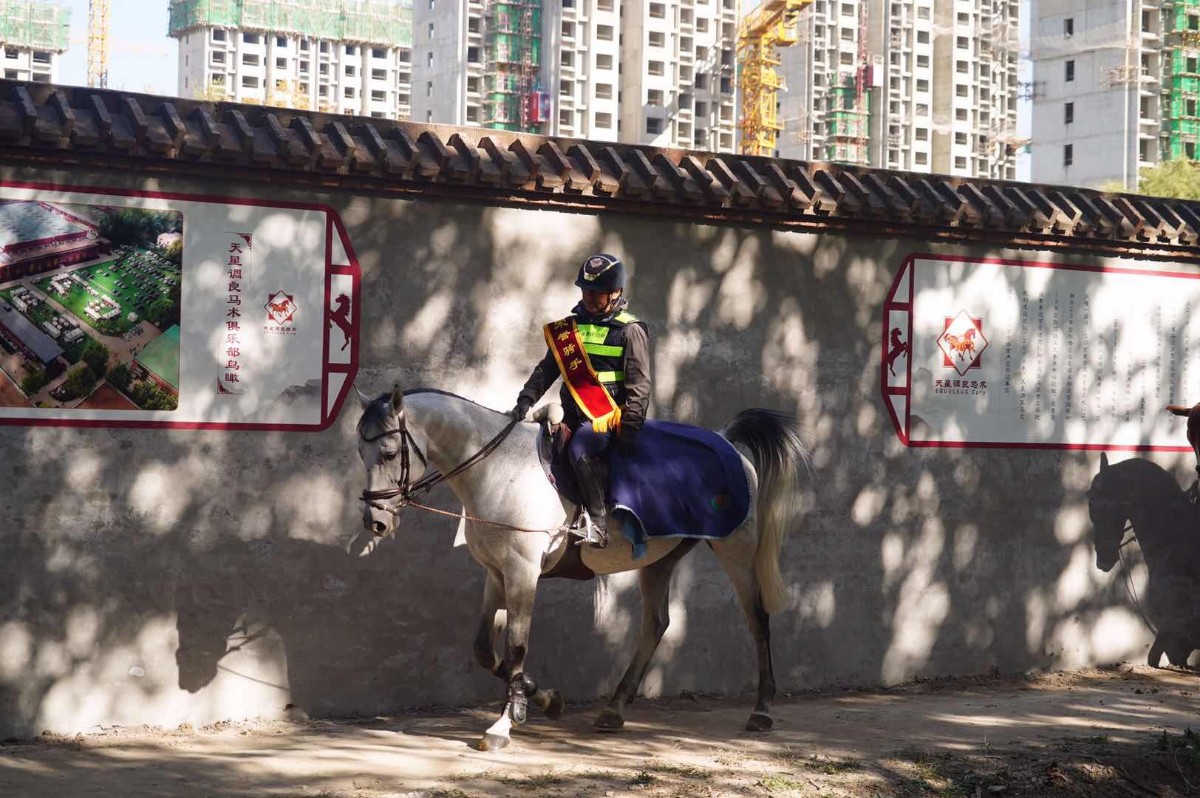骑马观美景！北京今天开通4.37公里城市马道
