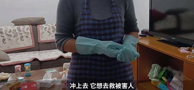 上海杀妻焚尸案爱犬为救主冲入着火房间，最后葬身火海