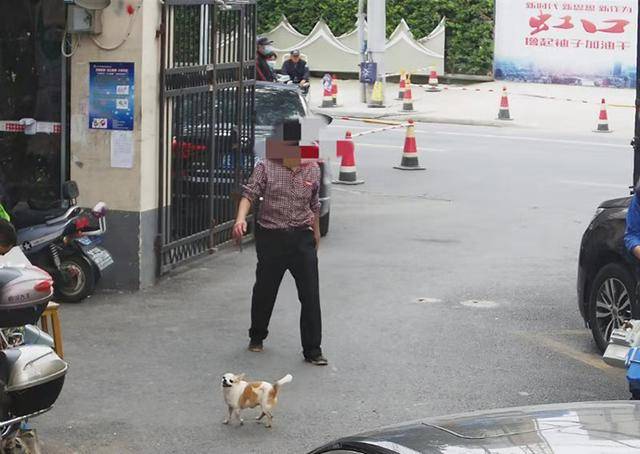 遛狗不牵绳的主人们注意了！上海不牵绳遛狗将被抓拍处罚