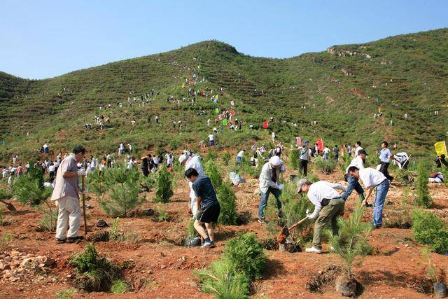 中国迎第43个植树节 为什么植树是公民义务？